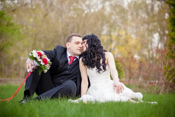 Novia y novio sentado en la hierba verde — Foto de Stock