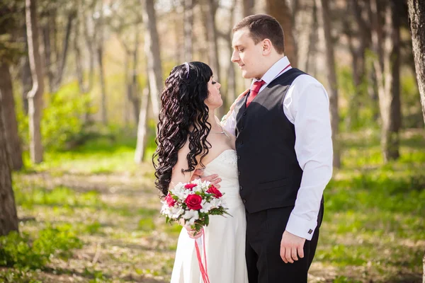 The bride and groom in a beautiful park — Stock Photo, Image