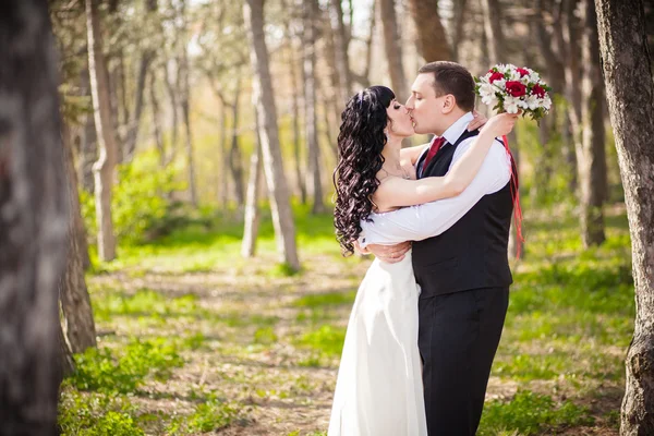 Novia y novio suave — Foto de Stock