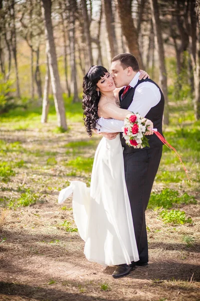 El novio y la novia — Foto de Stock