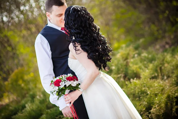 Groom hugs bride — Stock Photo, Image