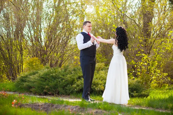 La novia y el novio en el bosque — Foto de Stock