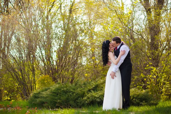 Braut und Bräutigam im grünen Gras — Stockfoto