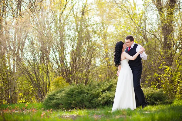 Lo sposo e la sposa in un parco verde — Foto Stock