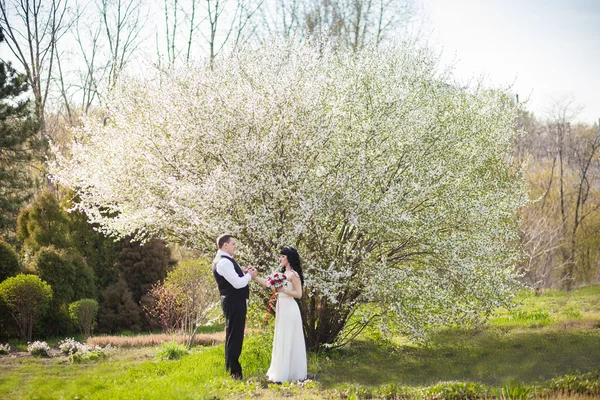 Lo sposo e la sposa in un parco verde — Foto Stock