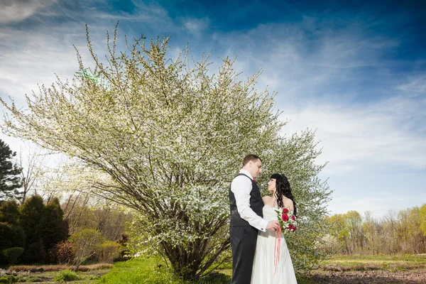 Bride and groom on the blue sky — Stock Photo, Image