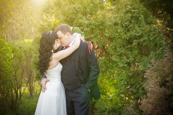 Lo sposo e la sposa in un parco verde — Foto Stock