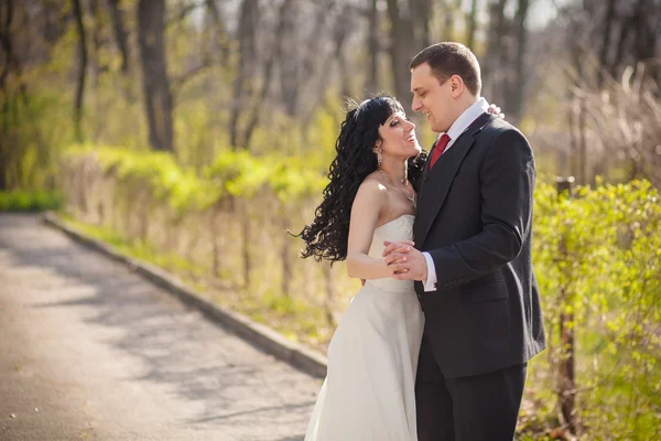 Spin sposa bruna — Foto Stock