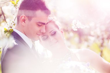 damat ve gelin ağaçlarda