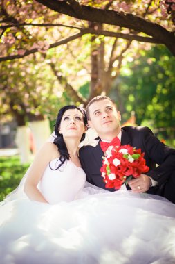 Gelin ve damat yemyeşil bir Bahçe