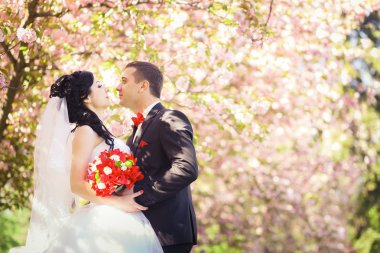 Gelin ve damat çiçekli ağaçlar arka plan üzerinde
