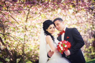 Genç çift kiraz ağaçları