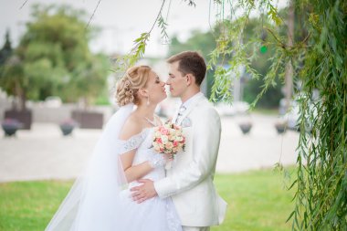 damat ve gelin ağacının altında