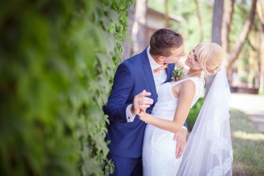 Gelin ve damat, Yeşil üzüm