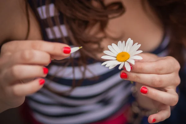 Girl, daisy, petals, — Stock Photo, Image
