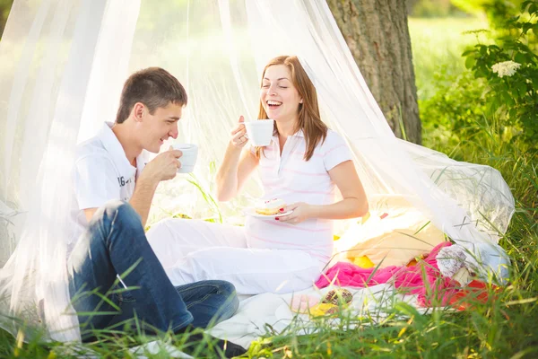 Picnic, pregnant — Stock Photo, Image