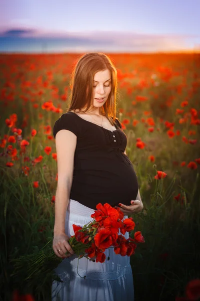 Маковое поле, беременный живот — стоковое фото