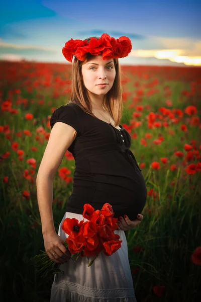 Pregnant poppy field — Stock Photo, Image