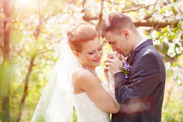 Sposo e sposa tra gli alberi — Foto Stock