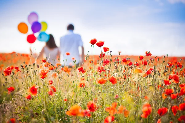 Couple poppies field — Stock Photo, Image