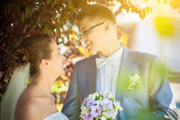 若いカップルが葉のキス — ストック写真