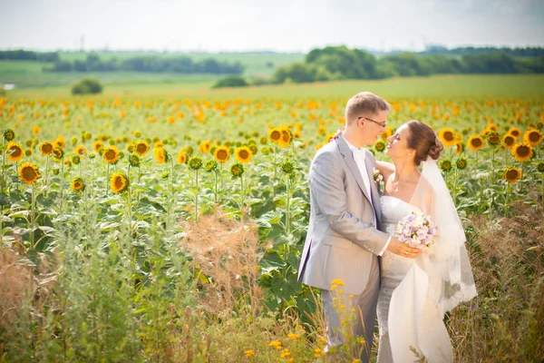 Bride and groom on sunflower field — Stock Photo, Image