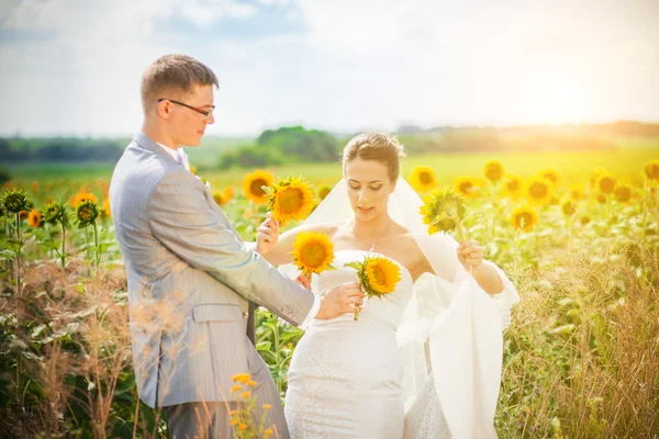 Wedding in sunflowers field — Stock Photo, Image