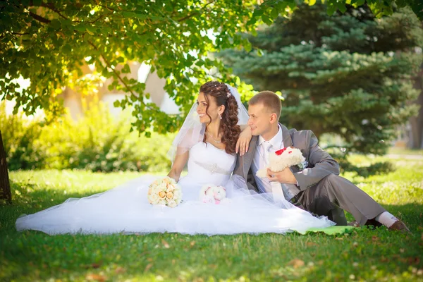 Lo sposo bacia la sposa — Foto Stock