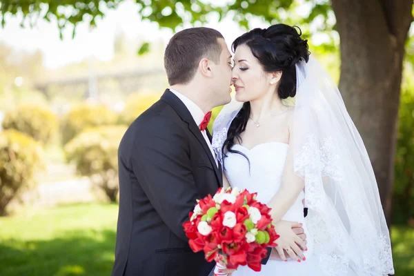 The groom kisses the bride on a background of green trees — Stock Photo, Image