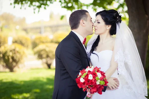 Lo sposo, la sposa, bouquet rosso — Foto Stock