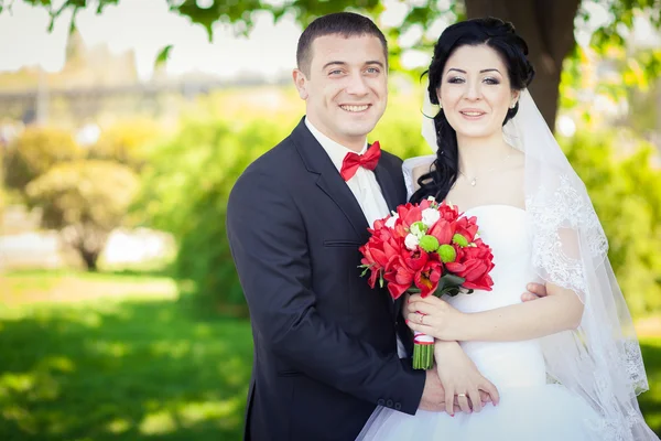 Boda detalles rojo — Foto de Stock