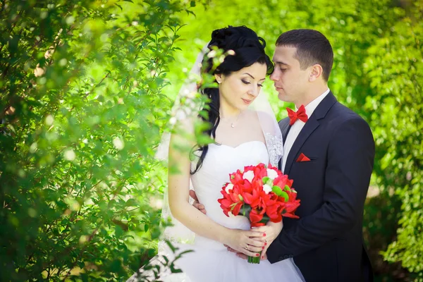 Dettagli matrimonio rosso — Foto Stock