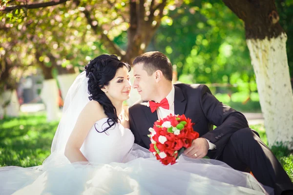 Noiva e noivo em um jardim exuberante — Fotografia de Stock