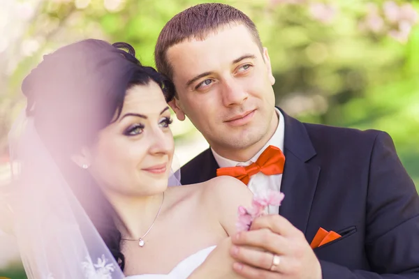 La mariée et le marié sur le fond des arbres à fleurs — Photo