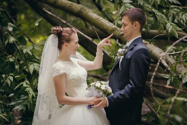 La pareja en el bosque —  Fotos de Stock