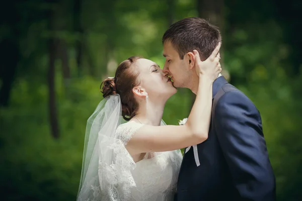 夏の結婚式 — ストック写真