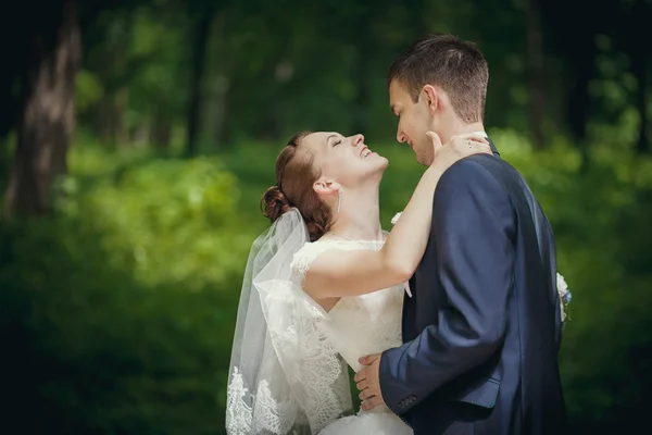 The couple in the woods — Stock Photo, Image