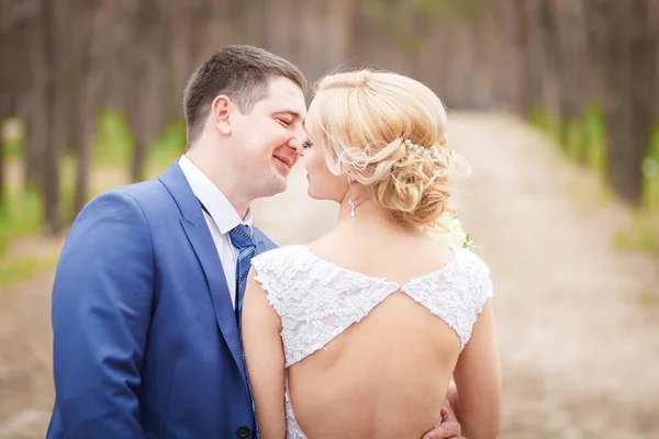 Pareja de boda elegante — Foto de Stock