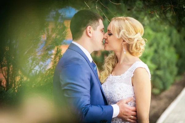 Young bride and groom — Stock Photo, Image