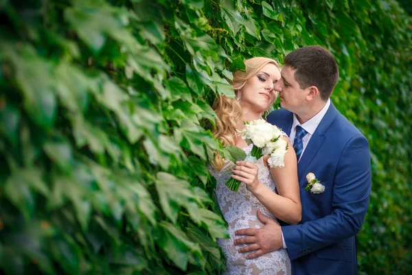 Brudgummen omfamnar bruden — Stockfoto