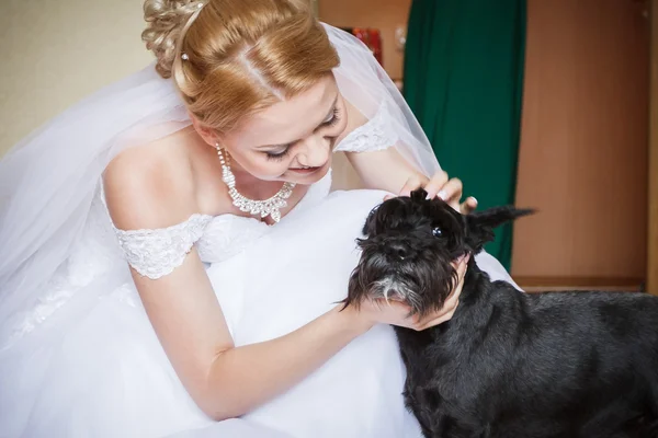犬と花嫁 — ストック写真