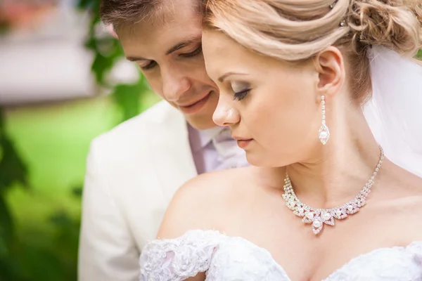 Bacio delicato, matrimonio — Foto Stock