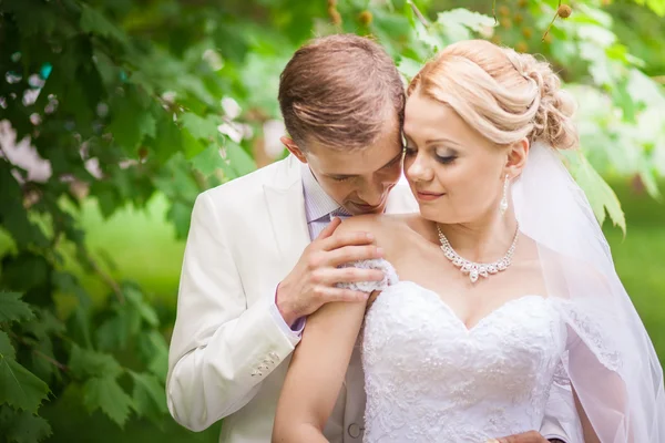 Groom and bride under tree — Stock Photo, Image