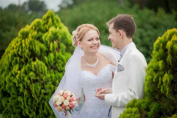 Novio y novia a pie —  Fotos de Stock