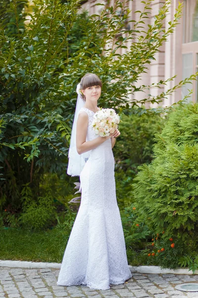 Schöne Brautgrün — Stockfoto
