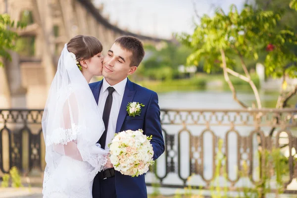 新婚夫妇在自然 — 图库照片