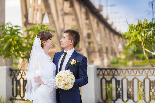 Couple de mariage dans la nature — Photo