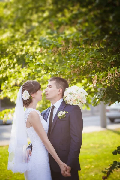 Noivo noiva casamento nascer do sol — Fotografia de Stock