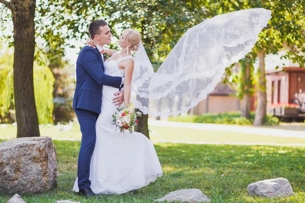 Наречений, наречена, весільна вуаль літає — стокове фото