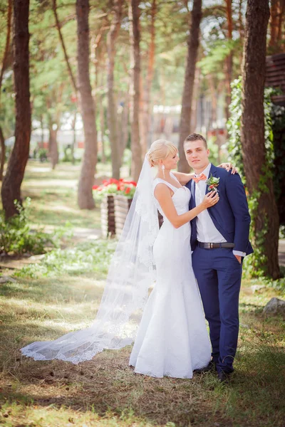 Stijlvolle bruidegom en de bruid — Stockfoto